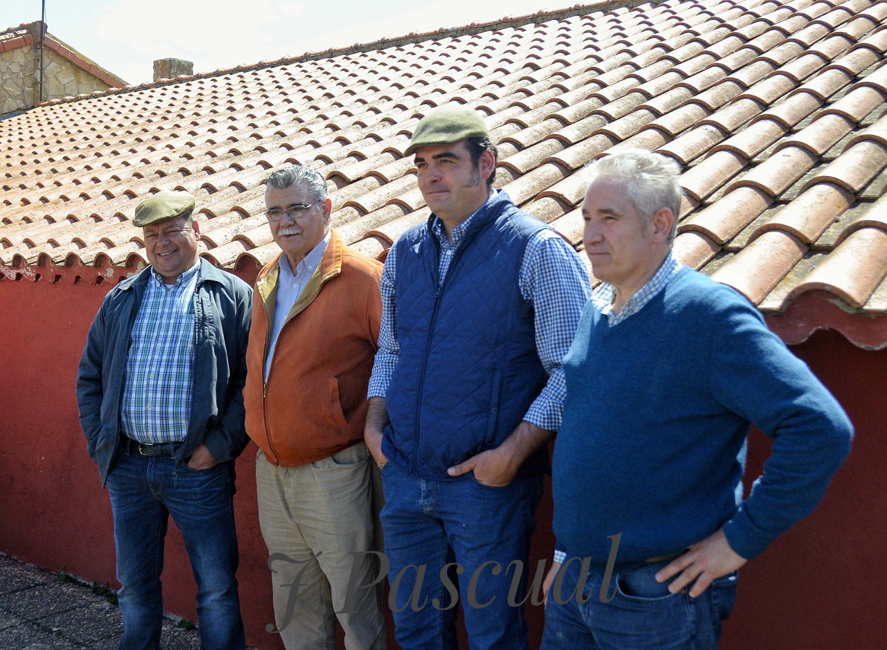 Imagen no cargada