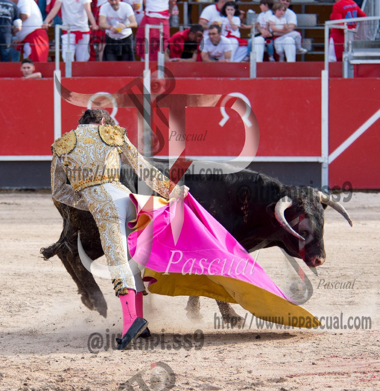 Imagen no cargada