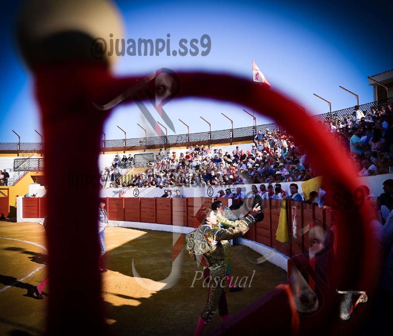 Imagen no cargada