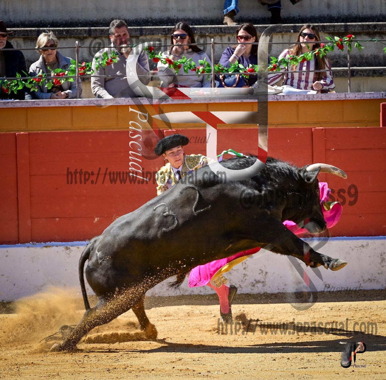 Imagen no cargada