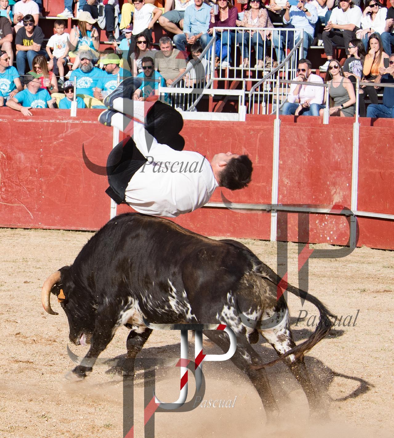 Imagen no cargada