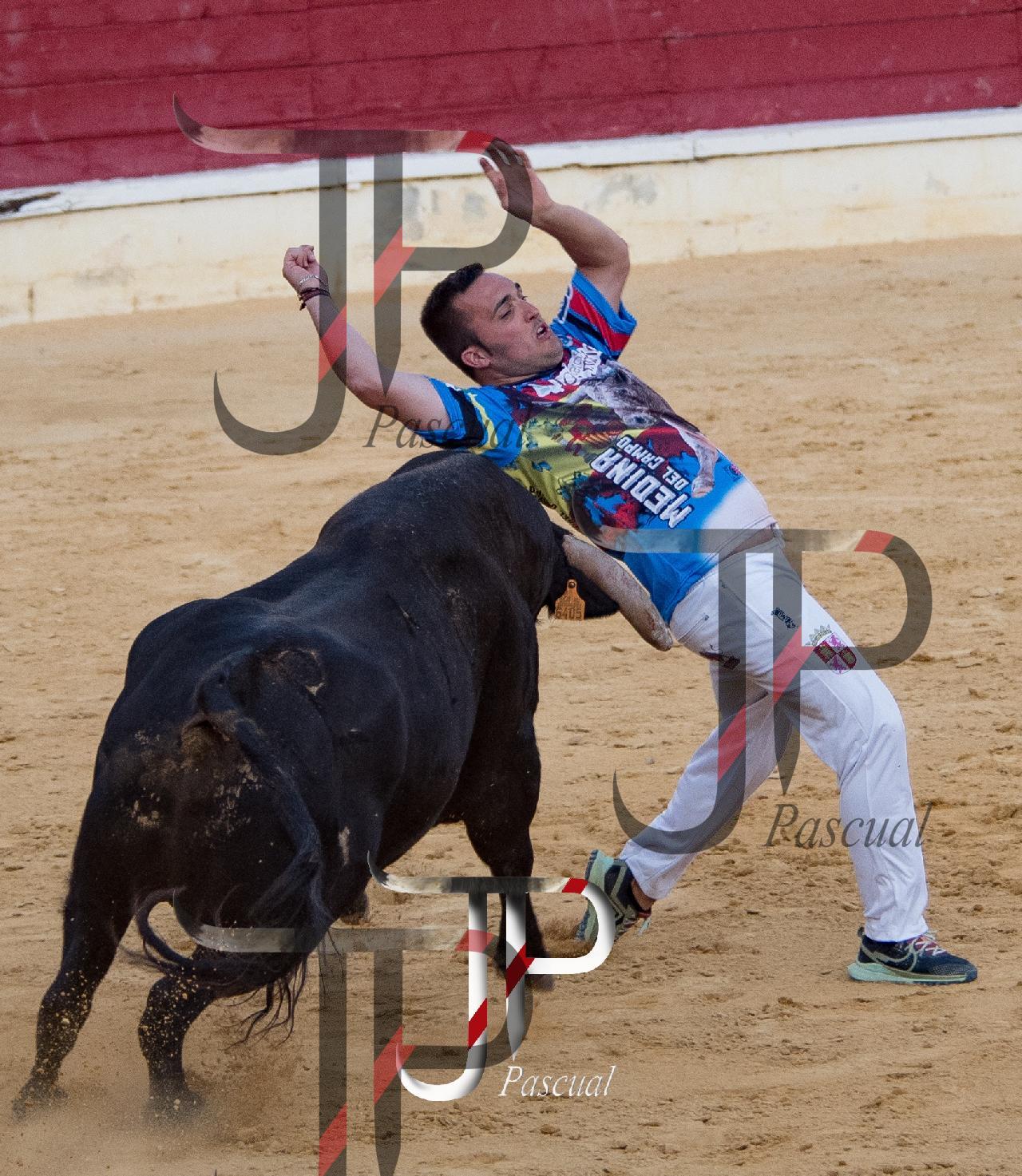 Imagen no cargada