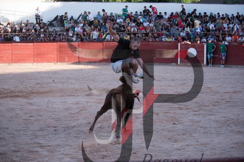Imagen no cargada