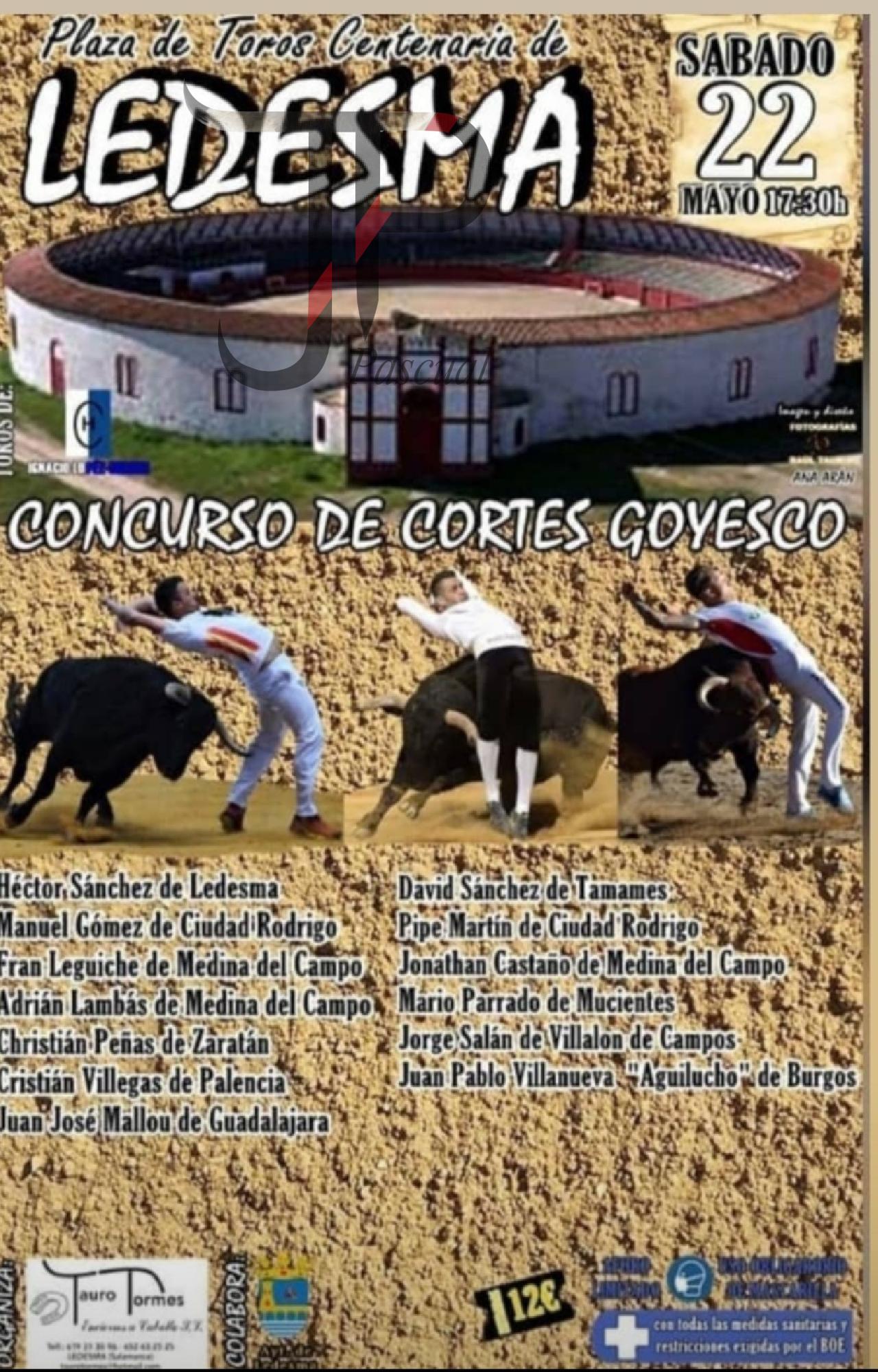 Imagen no cargada