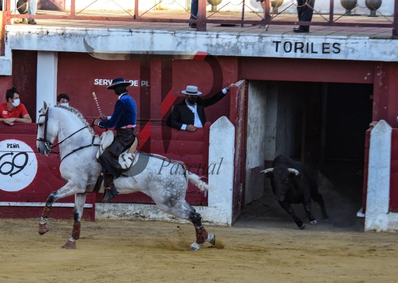 Imagen no cargada
