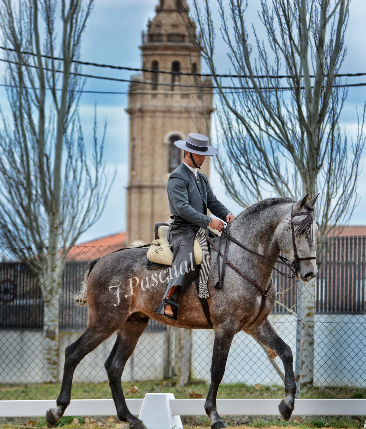 Imagen no cargada