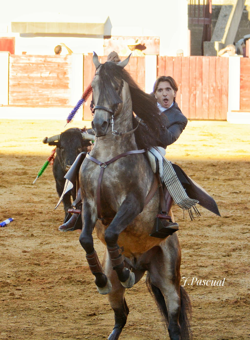 Imagen no cargada