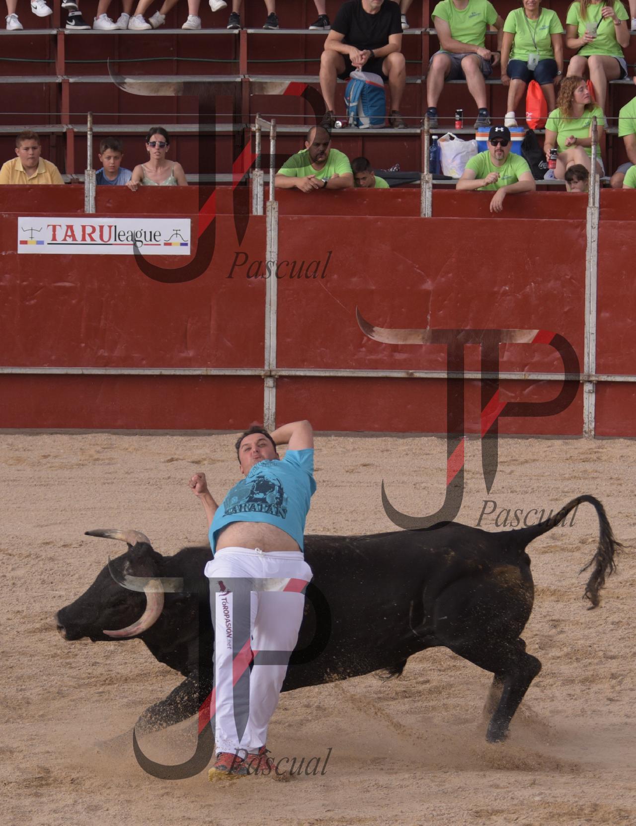 Imagen no cargada