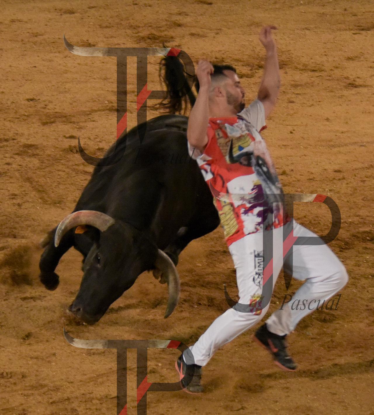 Imagen no cargada