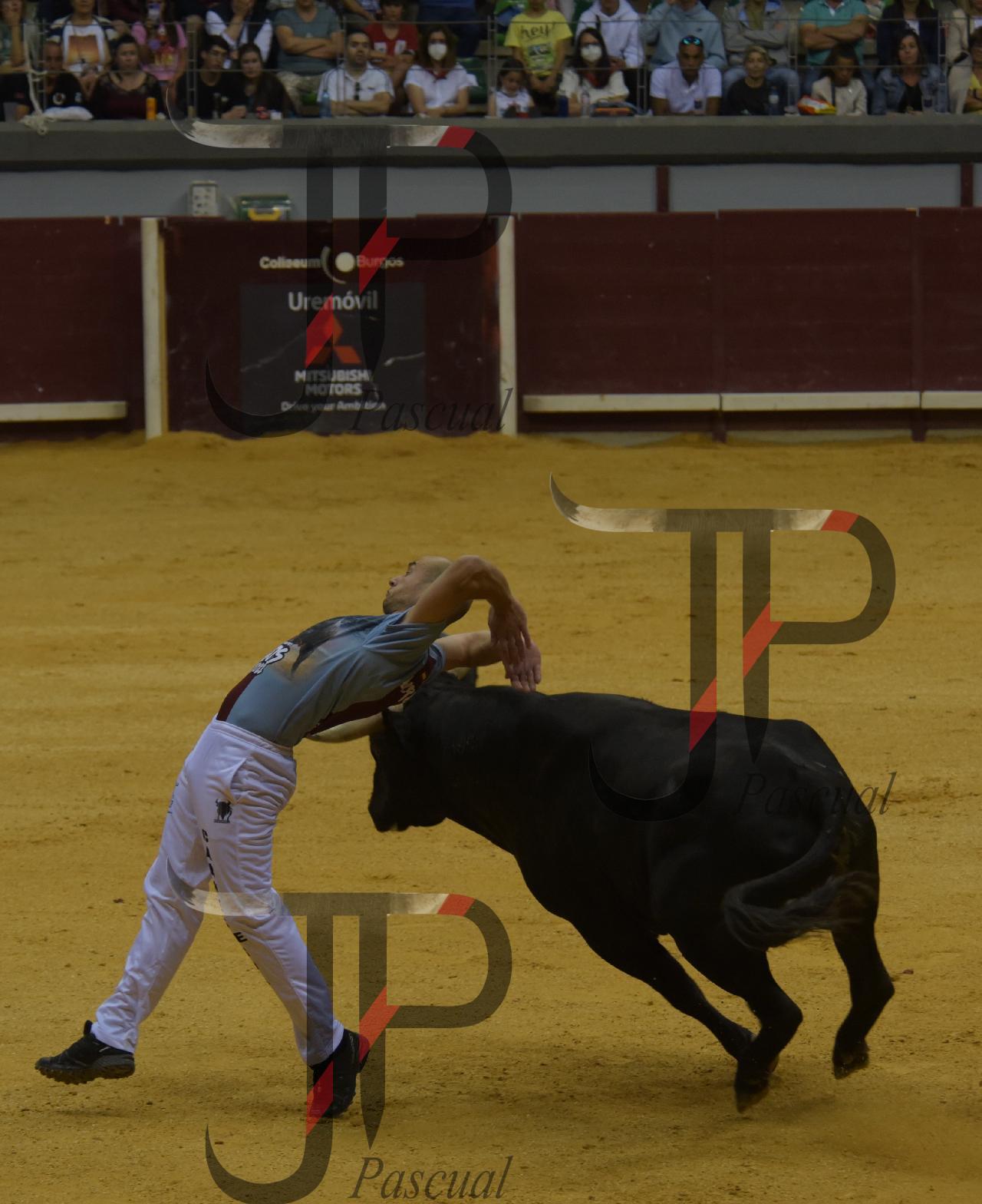 Imagen no cargada