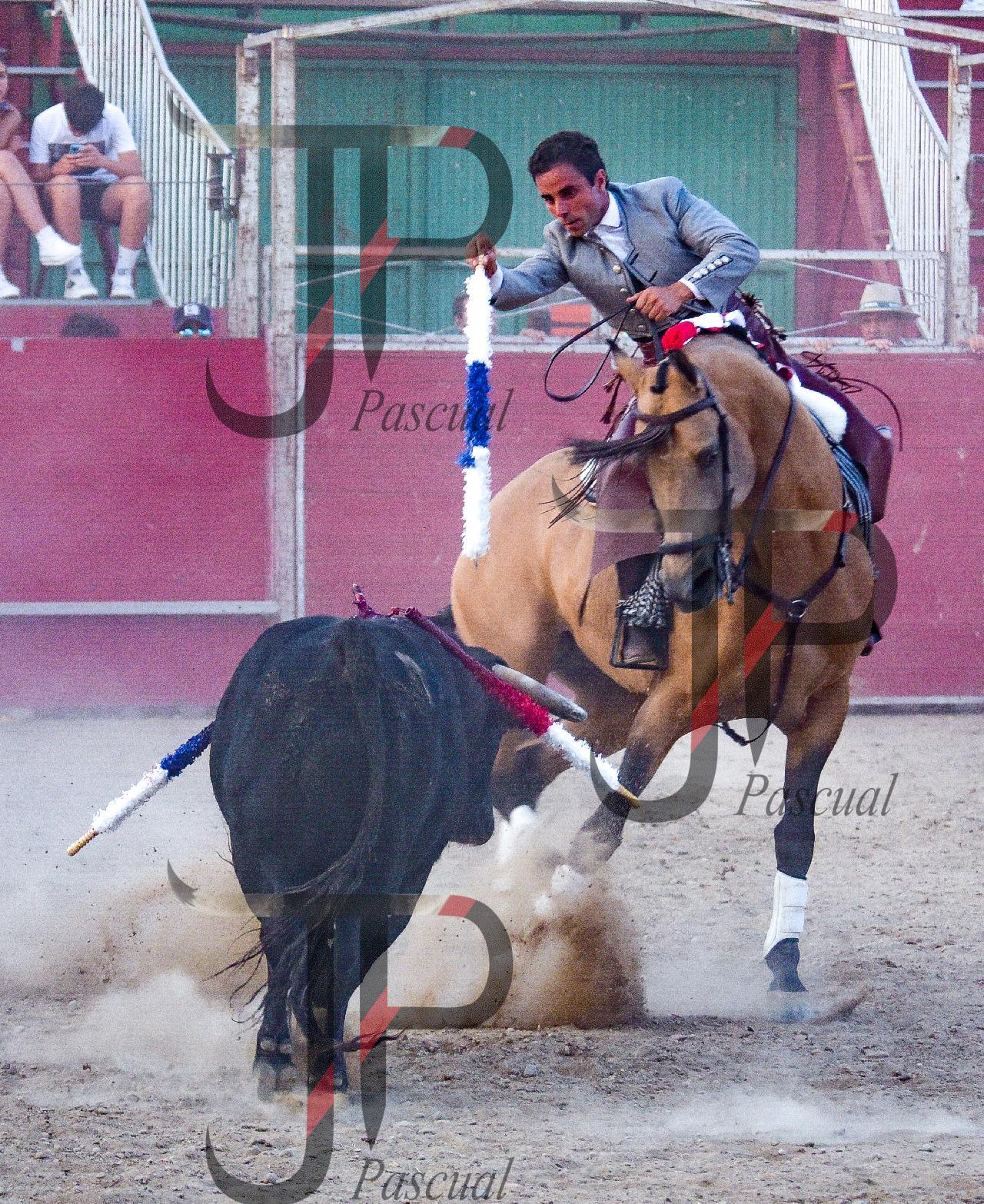 Imagen no cargada